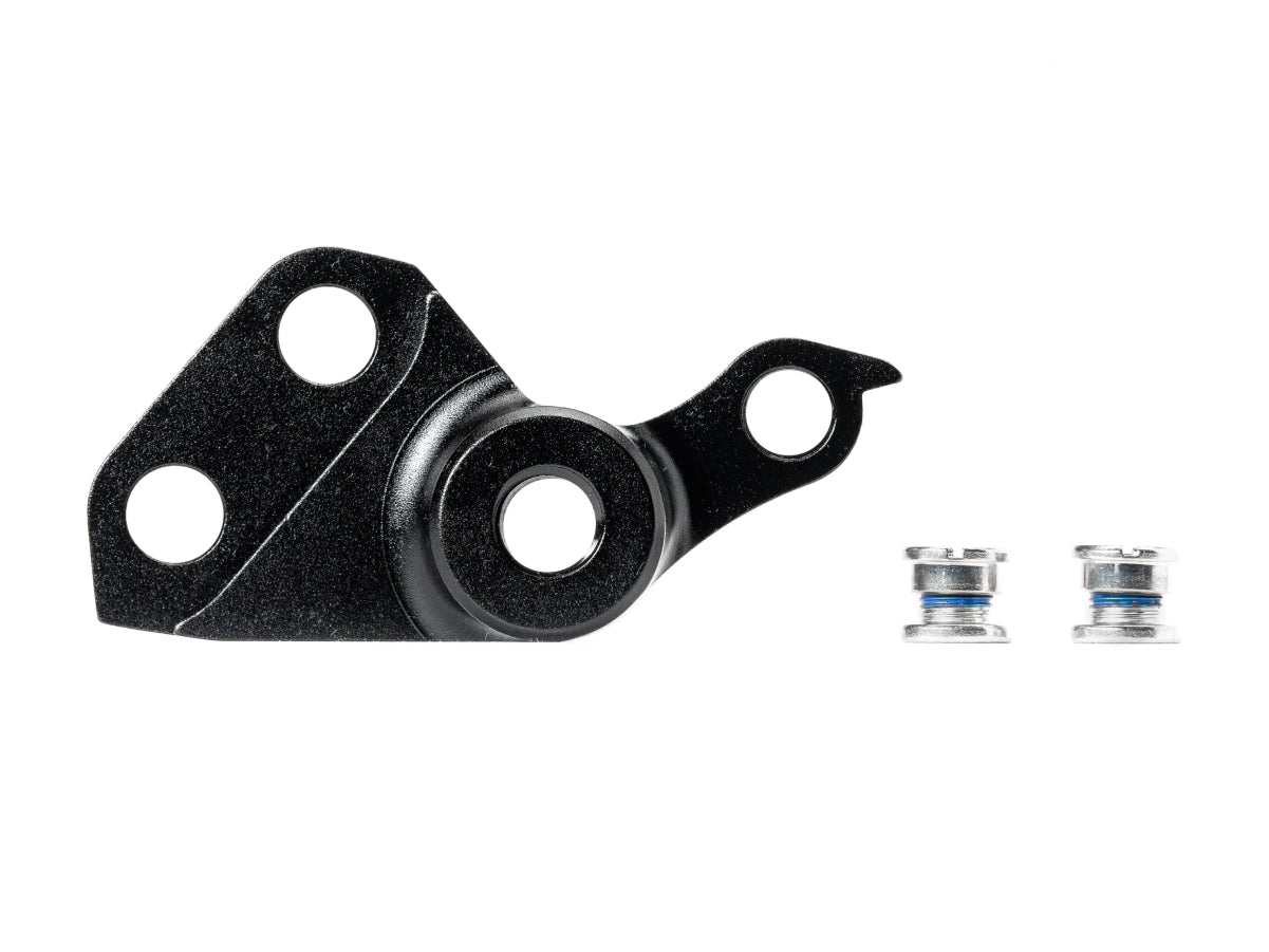 Universal hanger