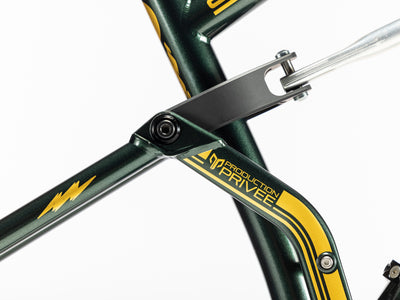 Shan Nº5 Racing History Frame