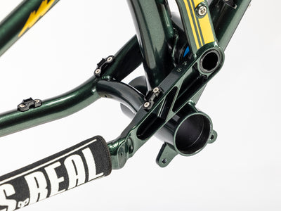 Shan Nº5 Racing History Frame