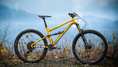 SHAN Nº5 PINKBIKE Review!