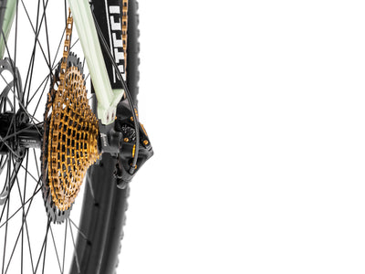 Shan 27" Limited Explorer